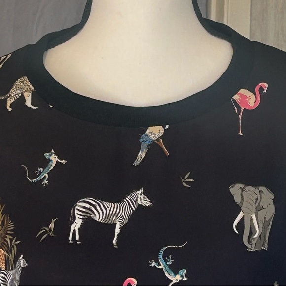 Harper Wren - Picture 4 of 11